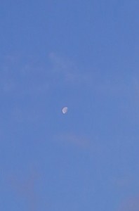 2016年12月19日　西の空朝の月